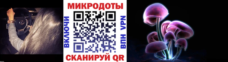 Псилоцибиновые грибы Psilocybe  Игарка 